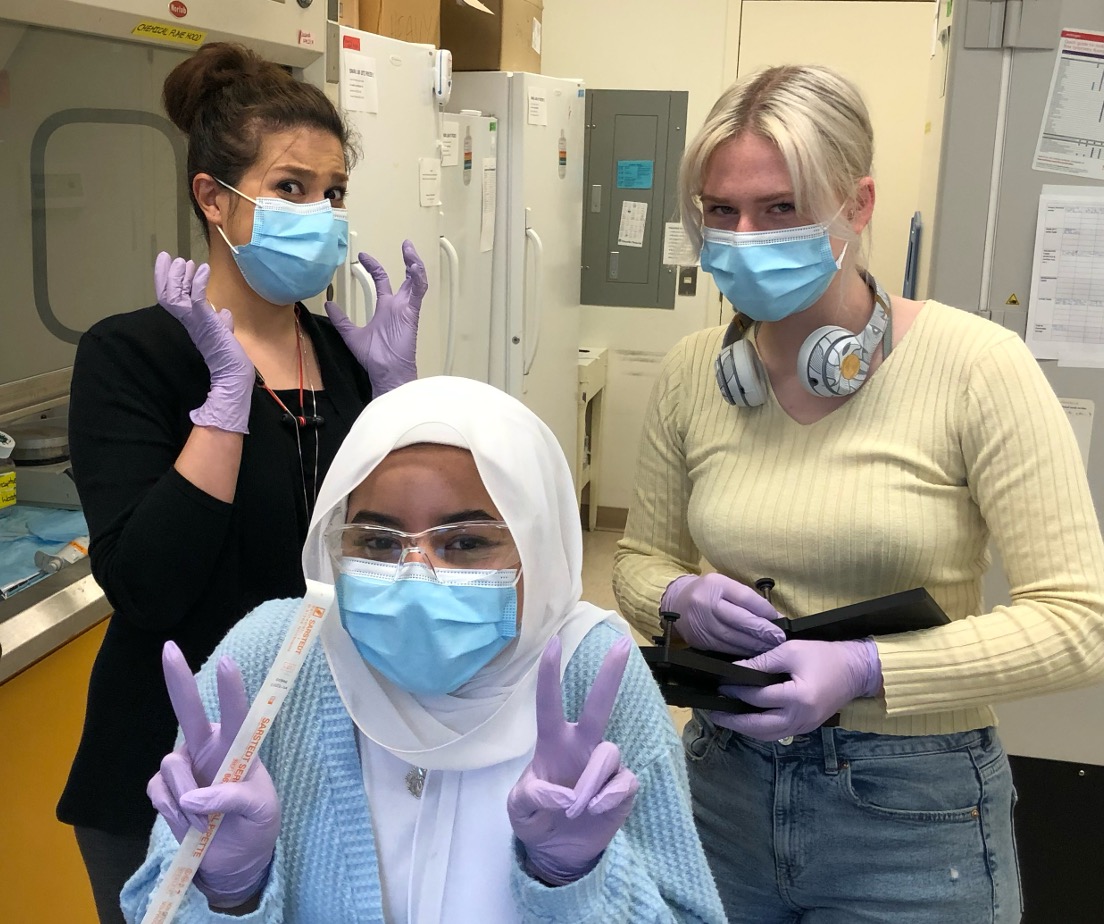 Lab life photo